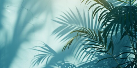 Fototapeta na wymiar Tranquil Palm Shade Abstract: Abstract background with tranquil blurred shadows evoked by palm leaves.