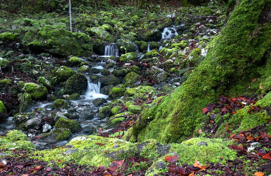 The gentle whispers of cascading streams weave through moss-laden stones in the heart of San Esteban village, Asturias