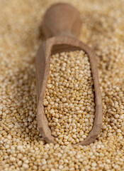 scattered white quinoa seeds, close up