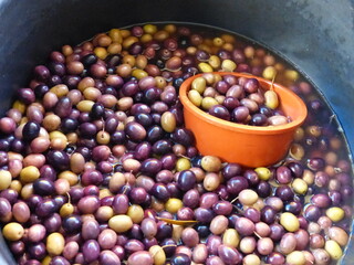 Bassine d'olives