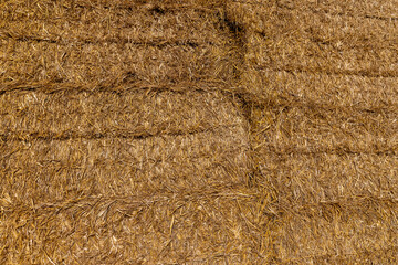 stacks of straw in the field in the winter season