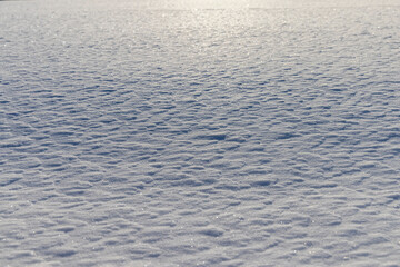 freshly fallen white cold snow in nature