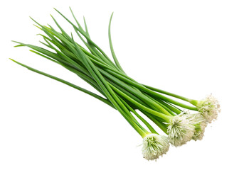 Bunch of fresh chives isolated on transparent background.