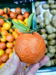 oranges in a market