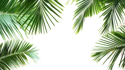 Foto op Plexiglas Tropical palm leaves jungle leaf seamless  floral pattern background © SazzadurRahaman