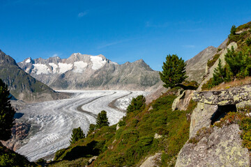 Obraz premium Jungfrau-Aletsch protected area, Bernese Alps, Switzerland
