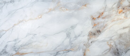 A closeup of a white marble texture resembling freezing foam, with patterns reminiscent of winter frost and snowflakes, contrasting with the warmth of wood and fur