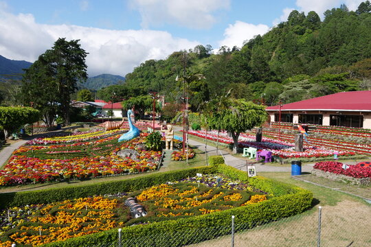 Blumenausstellung in Bajo Boquete in der Berglandschaft von Panama