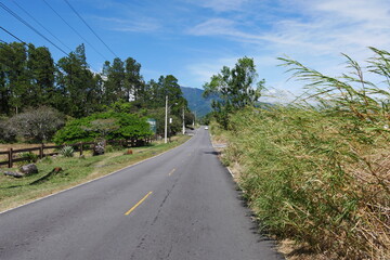 Fototapeta na wymiar Straße in Alto Boquete in der Berglandschaft von Panama