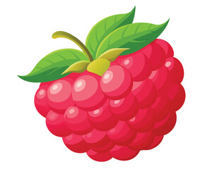 Red testy Raspberry vector illustration