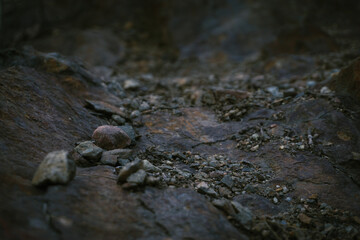 a close up of gravel on rock
