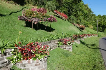 Foto auf Alu-Dibond Blumen an Straße in Berglandschaft von Boquete in Panama © Falko Göthel