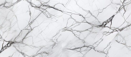 A detailed shot of a white marble texture resembling a snowy landscape, with intricate patterns similar to twigs and branches of trees. A monochrome photography event in nature