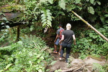 Wanderer im tropischen Nebelwald in Panama
