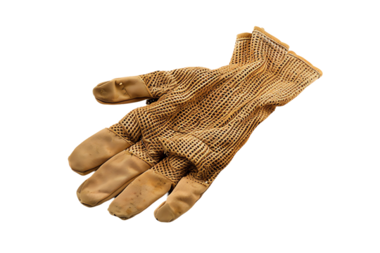 gloves isolated