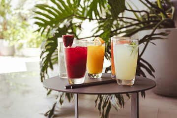 A table with five different colored and fresh drinks and a green plant in the background. The drinks are in tall glasses.
