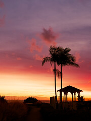 Dramatic sunset in California with palm tree and a gazebo silhouette  