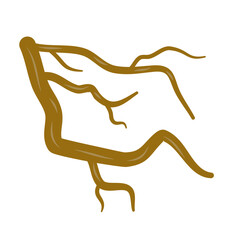 Brown dry tree branches vector