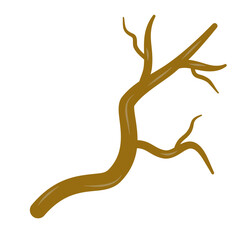Fototapeta premium Brown dry tree branches vector