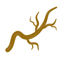 Brown dry tree branches vector