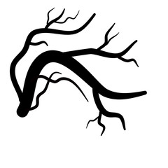 Black  dry tree branches silhouette