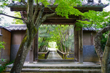 京都鷹峯光悦寺の参道の風景