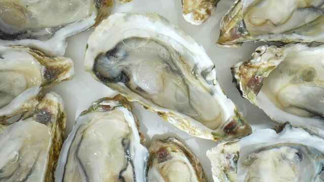 Oysters boast rich cultural history, tied to indulgence and celebration. Cherished for centuries, from ancient civilizations to modern enthusiasts, symbolizing refinement and culinary sophistication.