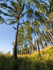 Atardecer Cerro Castillo La Yeguada