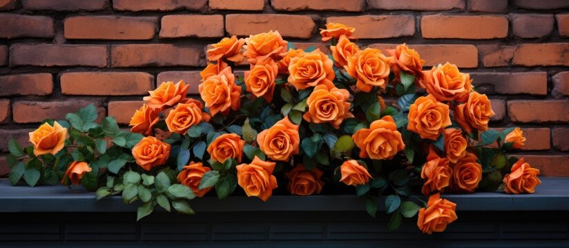 A variety of garden roses, including hybrid tea roses and floribundas, are blooming on a brick wall. The vibrant orange petals add color to the scenery