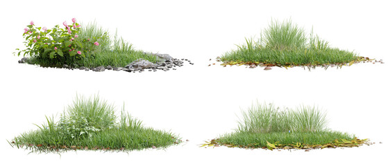 Collection green grass on transparent background 3d rendering png