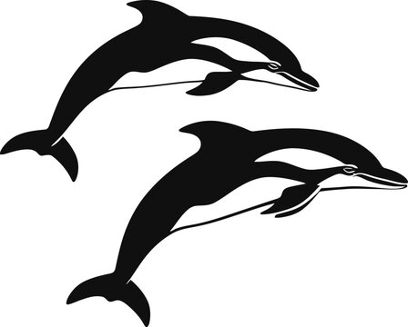 black and white dolphins swimming clip art preview