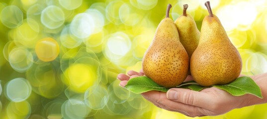Hand holding fresh pear, selection on blurred background with space for text placement