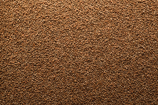 Perilla sesame seeds, an ingredient for making vegetarian and healthy food. Close-up image of food background texture
