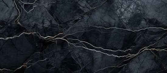 A closeup of a monochrome black marble texture with gold veins, resembling a natural landscape of freezing water and soil. Twig and wood elements add depth to the monochrome photography