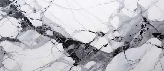 Closeup of a white and black marble texture resembling a snowy landscape with a frozen water surface, plant twigs, and tree wood details
