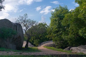 Picture of trees and rock at UNESCO world heritage site of Mahabalipuram. Ajanta, Ellora, Hampi ancient stone sculpture carvings sacred pilgrimage archeology stone rocks, nature, forest, old, tourism