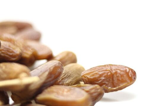 Date Palm