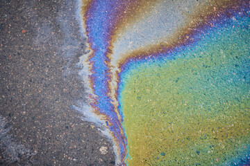 The oil left behind after rain forms spots that refract the sun's spectrum like a rainbow.