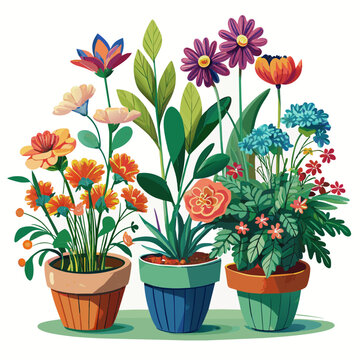 flowers in pots ,Real style, white background