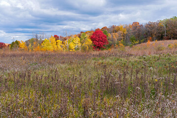 prairie landscape in autumn season at afton state park
