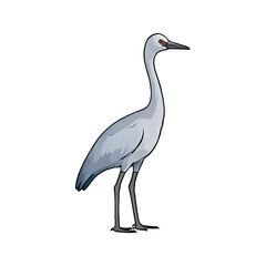 Fototapeta premium Crane Bird Hand Drawn Cartoon Style Illustration