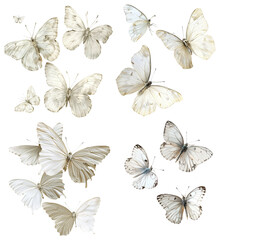 Mahgical white butterfly Group On Transparent Background