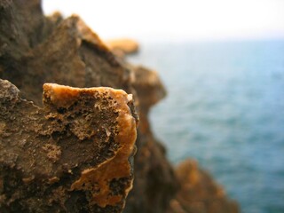 Close up of rocks with cliff, blurred image of outdoor nature landscape beach shore ocean coast line background space