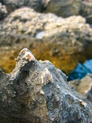 Close up of rocks with cliff, blurred image of outdoor nature landscape beach shore ocean coast line background space