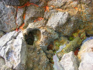 Close up of crystal clear water, rocks, stone wall with moss, hole, and water plants