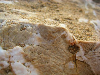 Close up of the beige color rocks and stone with sands at the beach