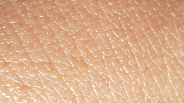 Firm skin texture indicates good elasticity and resilience. It is associated with youthful skin and is influenced by factors such as collagen and elastin production. Serums and Oil control concept. 
