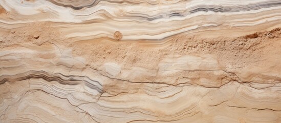A closeup image capturing the intricate pattern of beige and brown wood with a marble texture. The hardwood formation resembles bedrock outcrop in a landscape