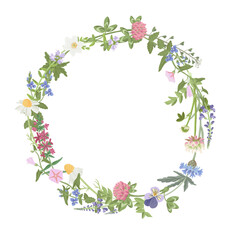 round wreath with with wild field flowers, vector drawing plants at white background, floral template design, hand drawn botanical illustration
