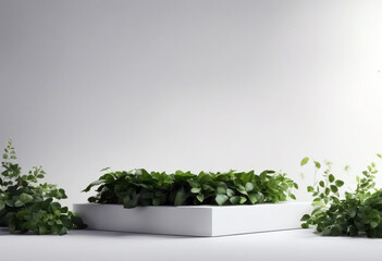 Fototapeta premium Product space leaves podium splay empty white background podium nature copy poduim plant interior pot home wall flower room house decoration tree nature indoor design decor garden window potted